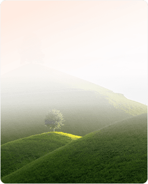 Illustration 150-0 b ter