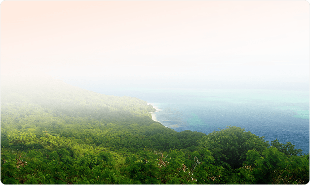 Illustration dispositif Girardin