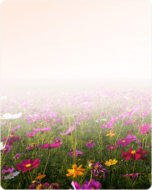 Illustration bilan patrimonial