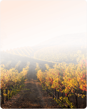 Illustration plan épargne entreprise