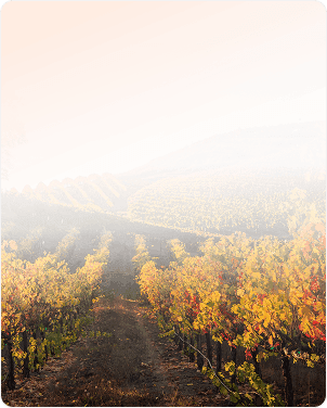 Retirement savings plan